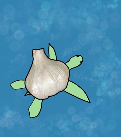 garlic turtle