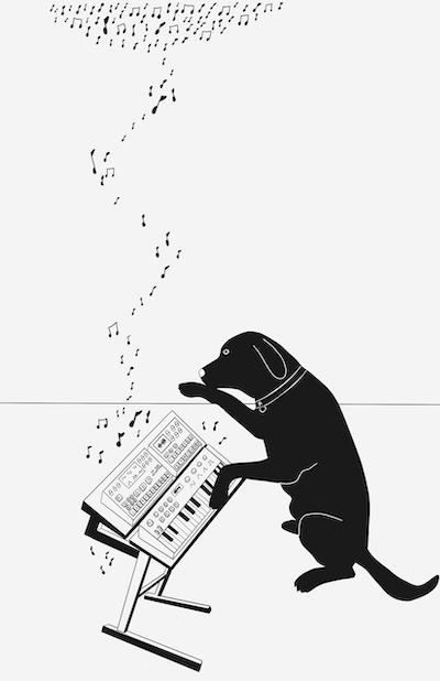 dog and instruments