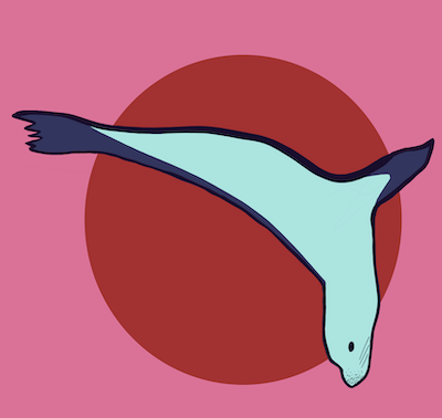 sea lion