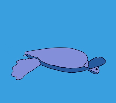 sea turtle
